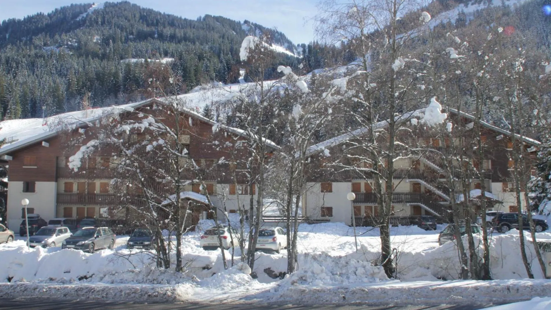 Appartement A Chatel: 2 Pieces, 4 Pers. - Proche Telecabine Et Navettes Gratuites, Balcon Expose S-E - Fr-1-198-113 Apartment Chatel